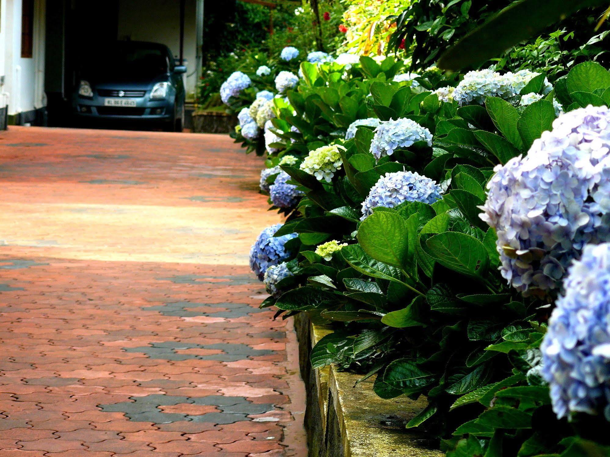 Green Shades Munnar Ngoại thất bức ảnh