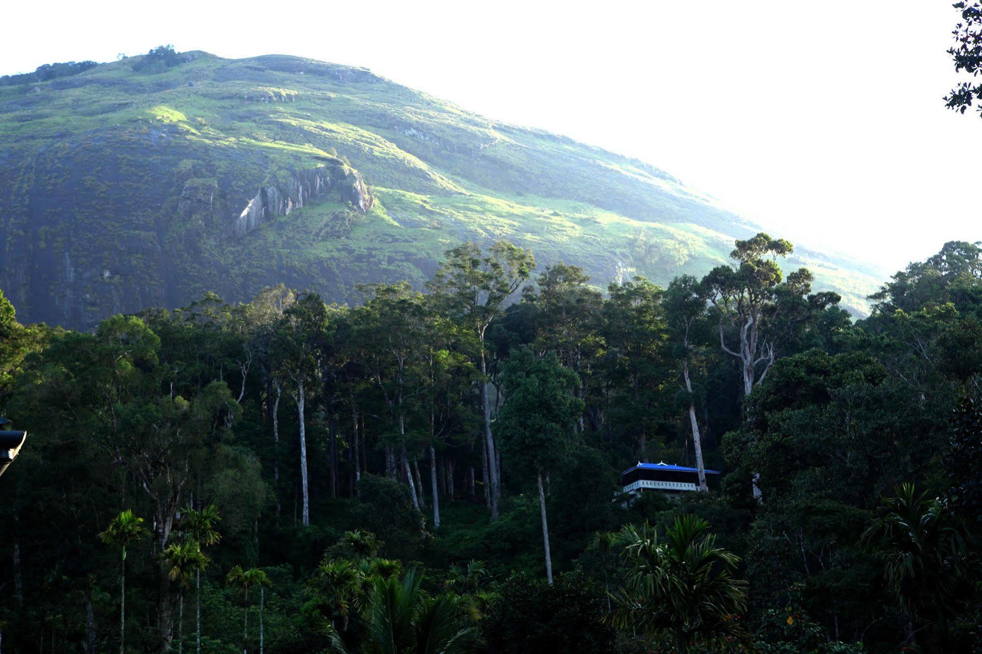 Green Shades Munnar Ngoại thất bức ảnh